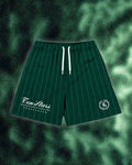 V5 Evergreen