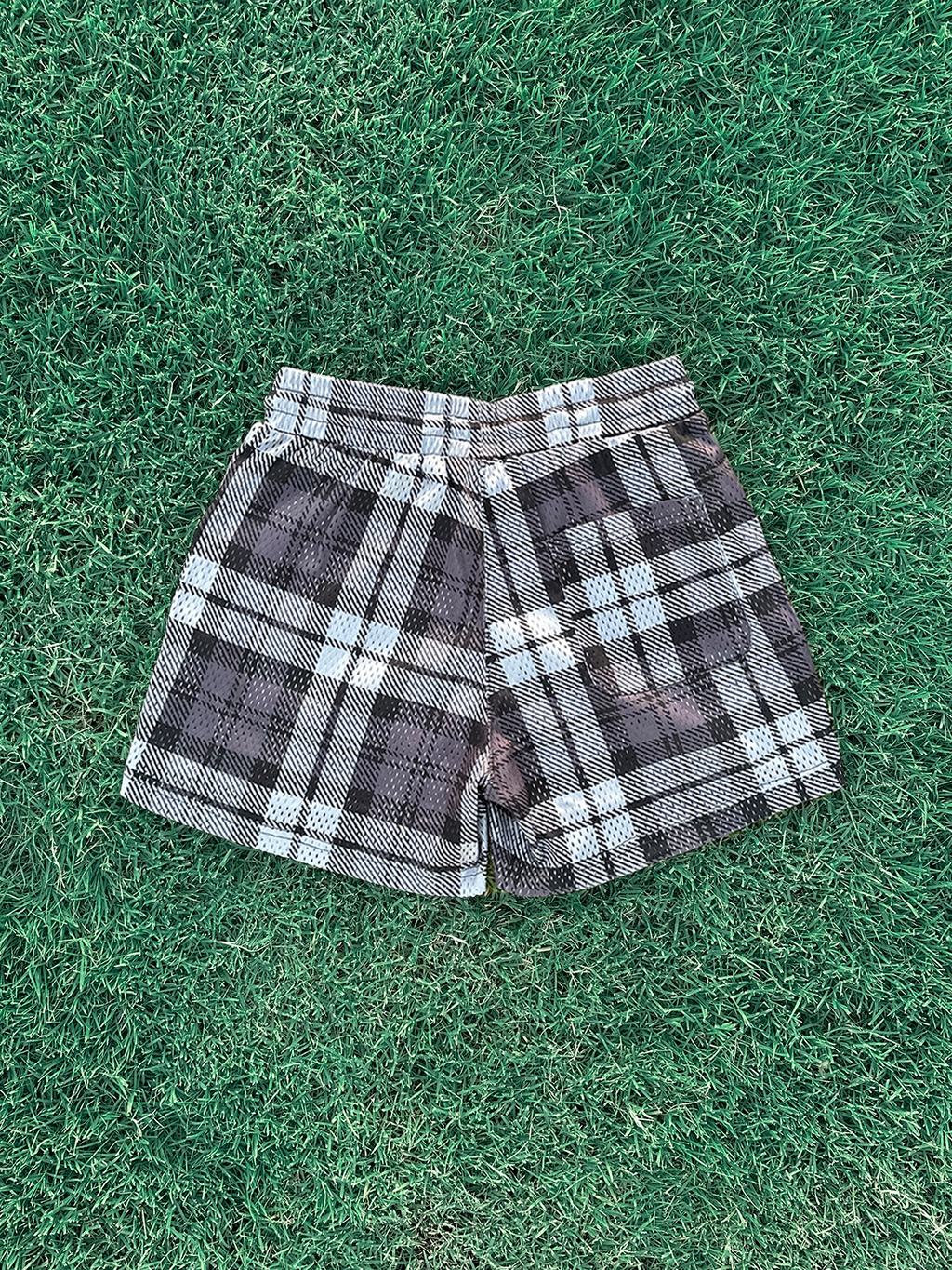 v2 plaid