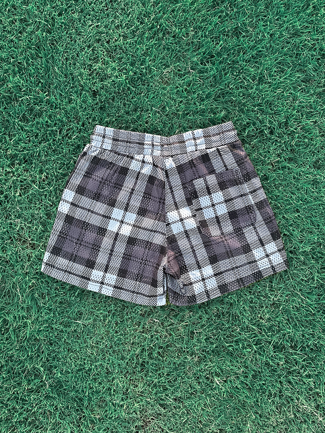 v2 plaid