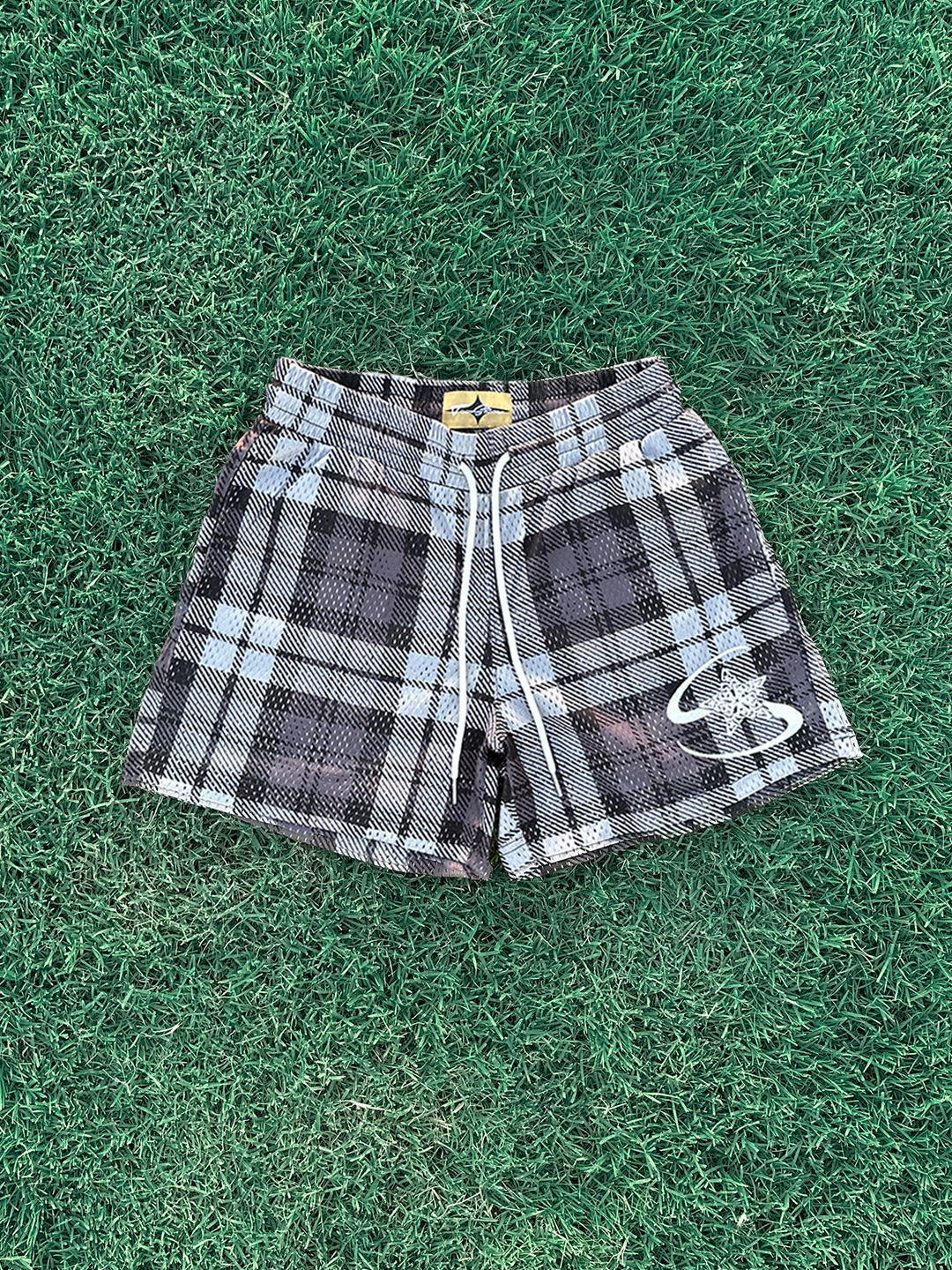 v2 plaid